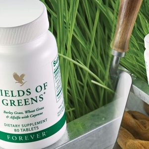 فوريفر الحقول الخضراء Forever Fields of Greens
